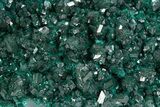 Beautiful Dioptase Crystal Cluster on Plancheite - Sanda, Congo #302228-1